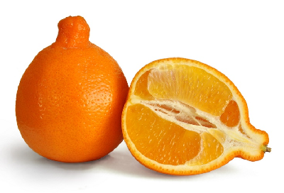 Minneola