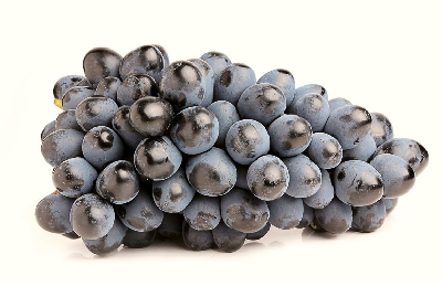 Blauwe druiven