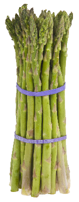 Asperges